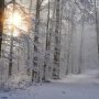 Александр Блок «Всё отлетают сны земные…» — полный текст стихотворения, анализ