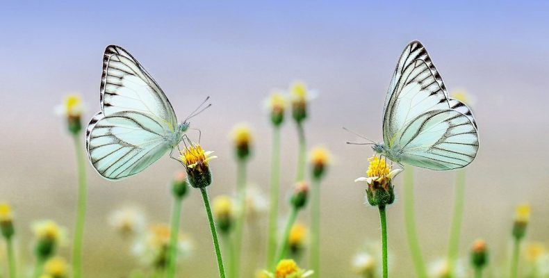 Цените каждую секунду — стихотворение о самом главном